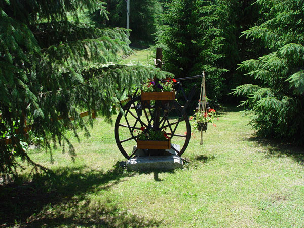 DSC00556